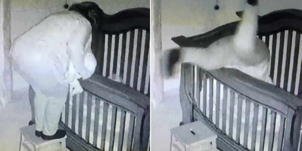 Crib store step stool
