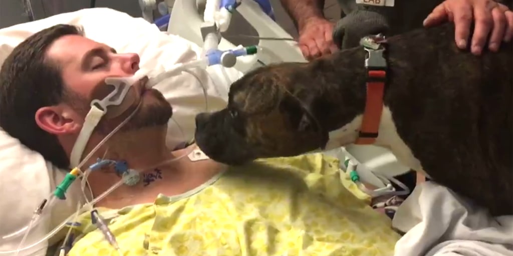 Dog says goodbye to dying owner in heartbreaking moment at hospital