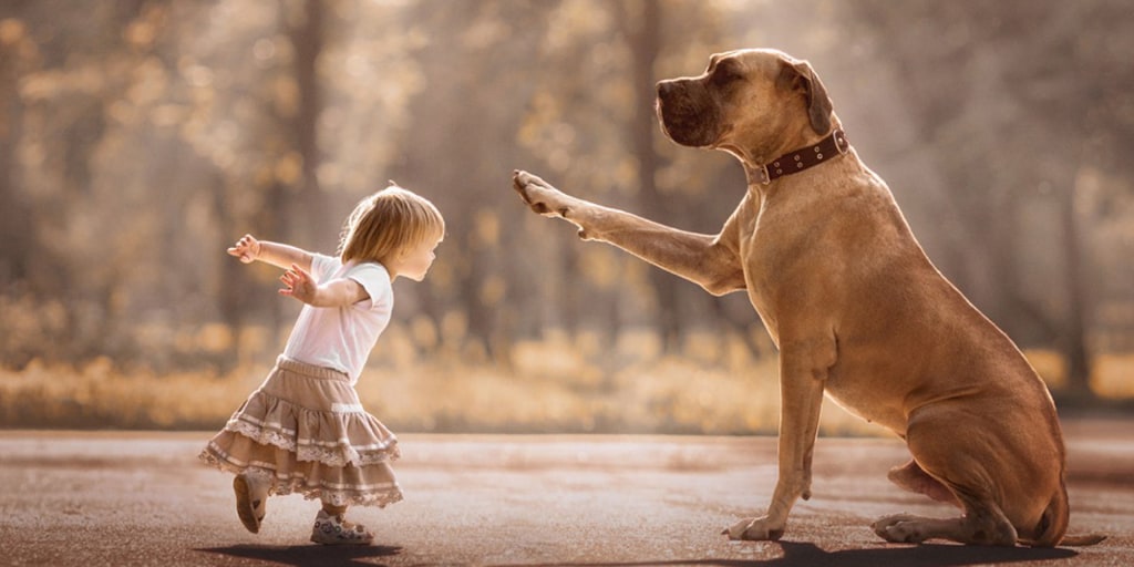 Best big hotsell dogs for kids