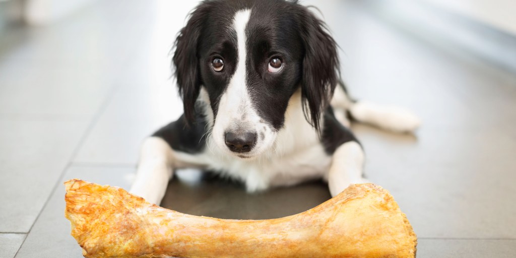 Bone treats could kill your dog FDA warns