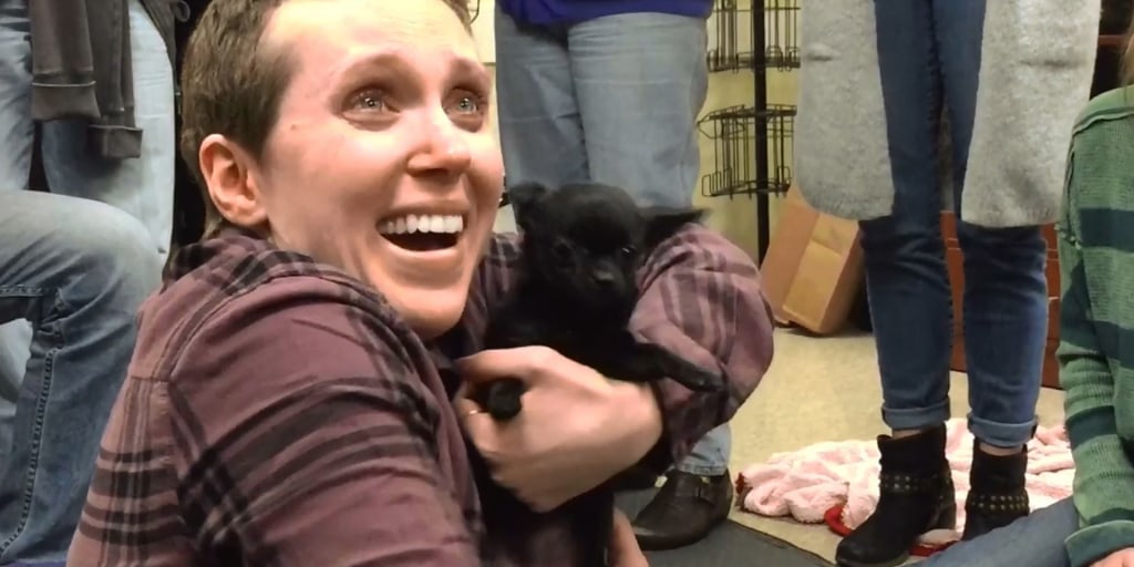 Covered In Puppies Video Girl Gets Covered In Corgi Puppies Her Reaction I Can T Stop Smiling