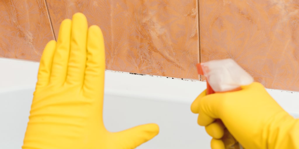 How To Remove Mold And Mildew From, How To Remove Mold From Fabric Furniture Without Bleach