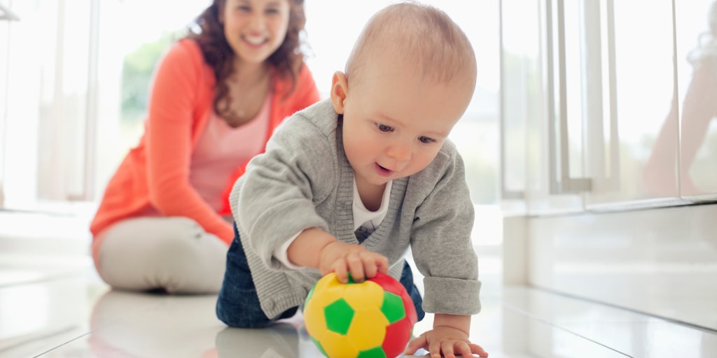 Little Bird Baby Proofing - Infant House