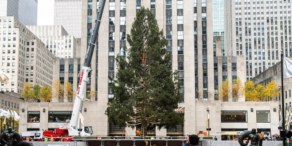 2021 Rockefeller Center Christmas Tree Arrives In Nyc