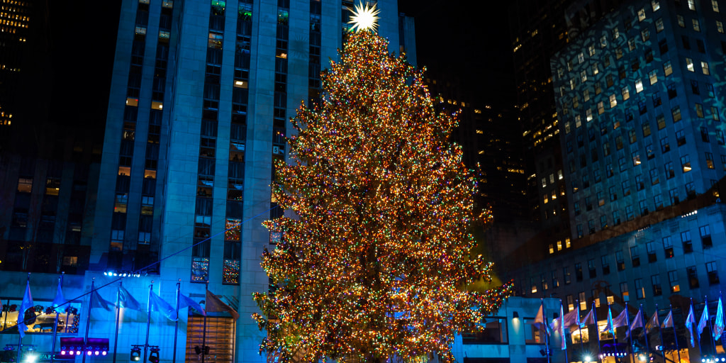 Yes, they've already picked the Rockefeller Center's giant Christmas tree  for 2023