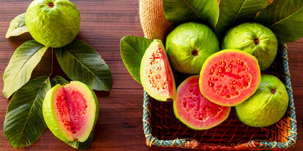 Red Guvas Red Guava Benefits