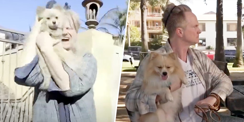 Man who reunited with dog amid LA fires inspires new bill protecting pets