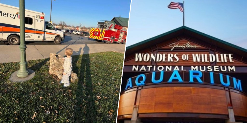 Woman Gives Birth at Wildlife Aquarium in Missouri