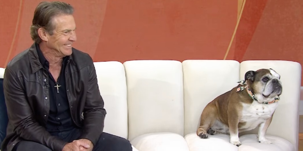 Image for Dennis Quaid's Dog Peaches Steals the Spotlight During TODAY Interview