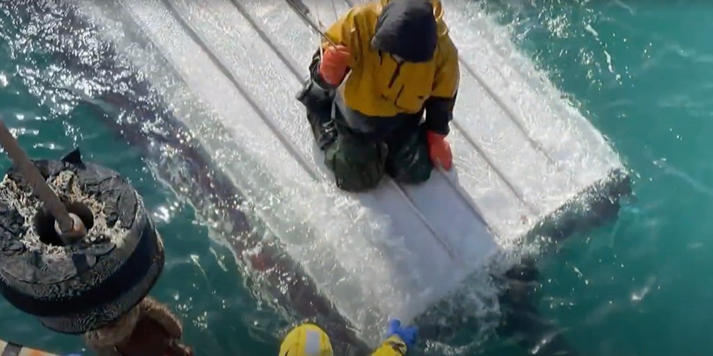 15-Year-Old Survives Days on Overturned Fishing Boat After Brother and  Cousin Die