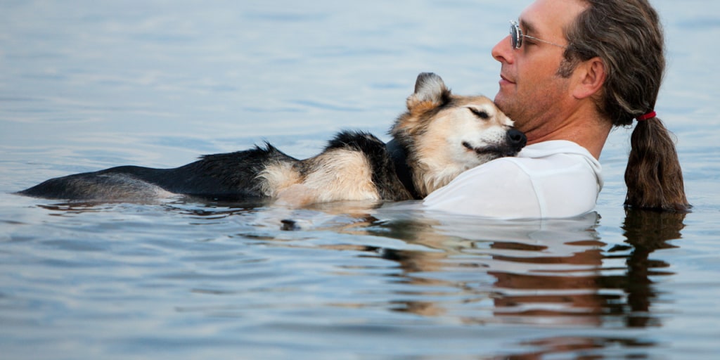 Dog arm hot sale floaties