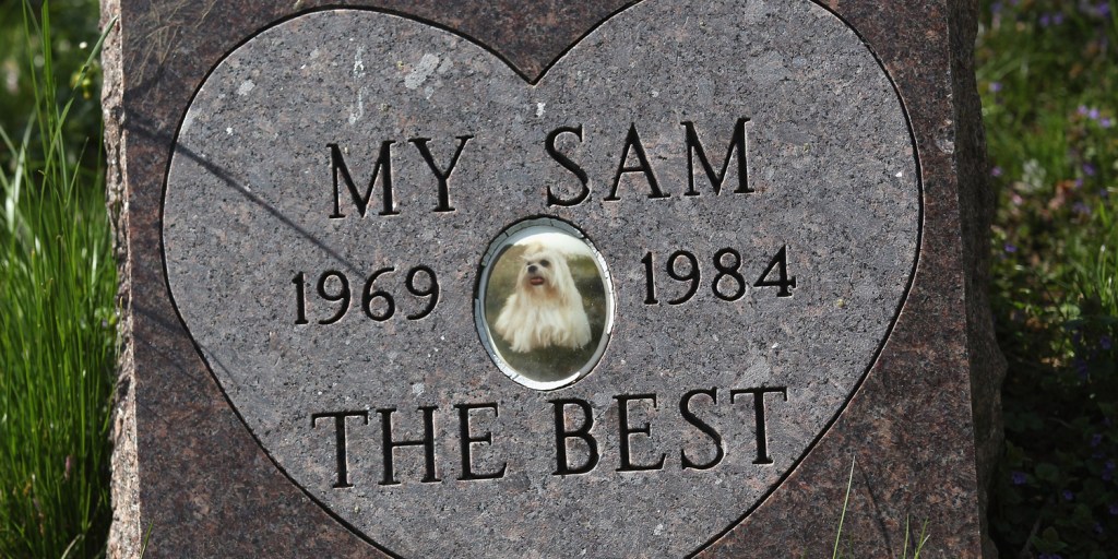 Pet cemetery top in my area