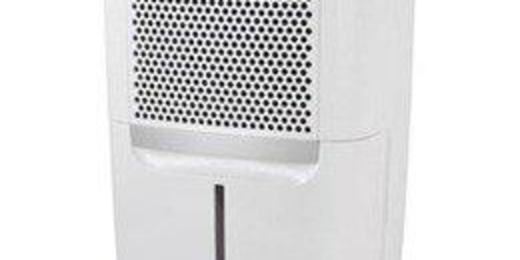 Best Dehumidifiers for a Healthy Home - Everyday Health