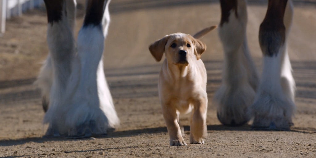 Budweiser's big game ad is a puppies and ponies play