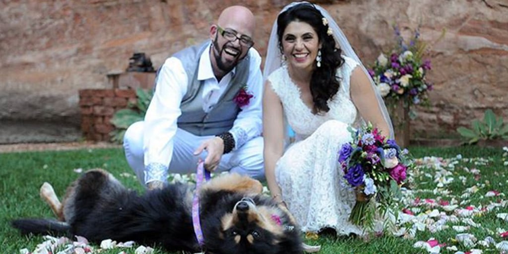 Animal planet jackson top galaxy