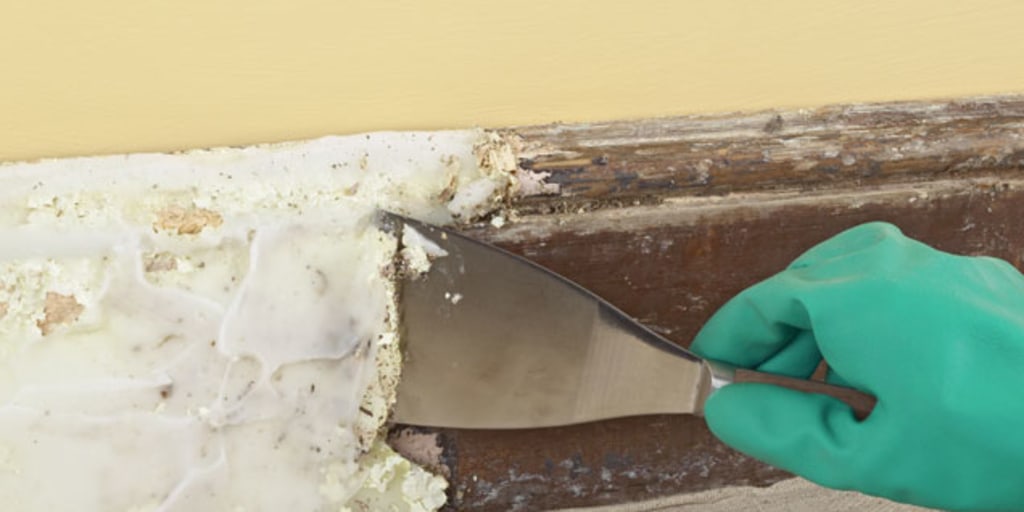Removing Paint From Walls A paint scraper is usually a flat or curved blade tool that usually have a handle that is made out of plastic, wood or metal. removing paint from walls