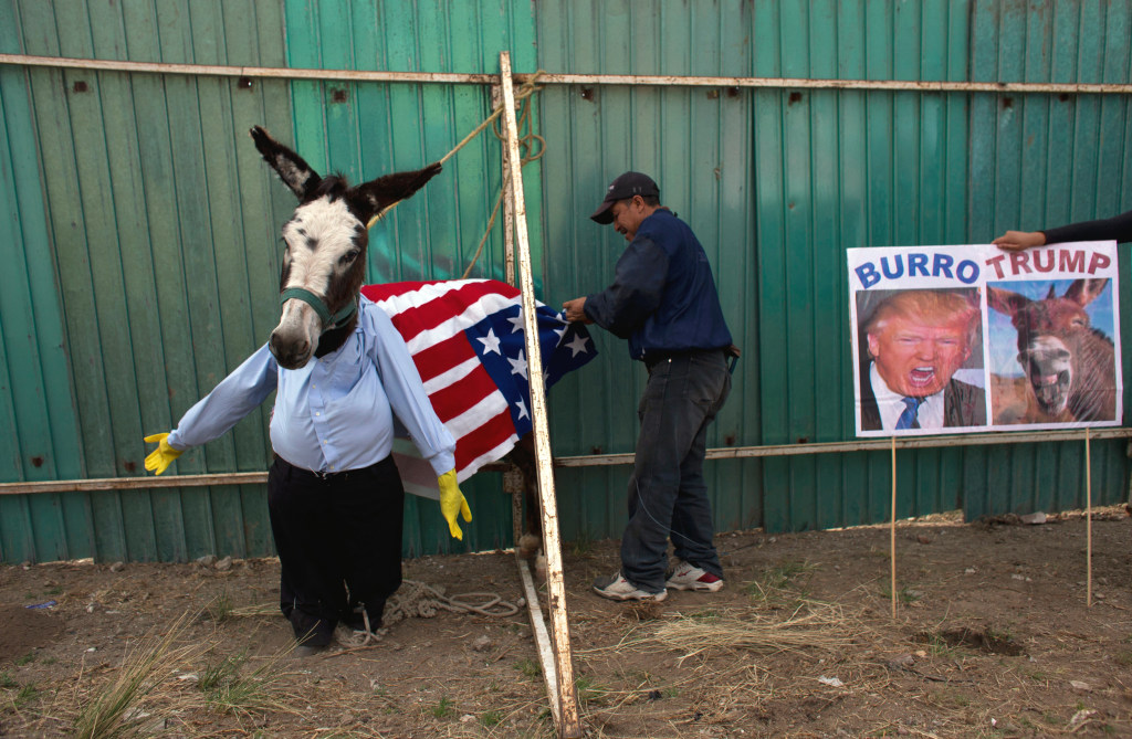 Donkey Show In Mexico Video