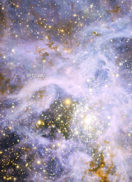 110603-LoneWolfStarPhoto-hmed-