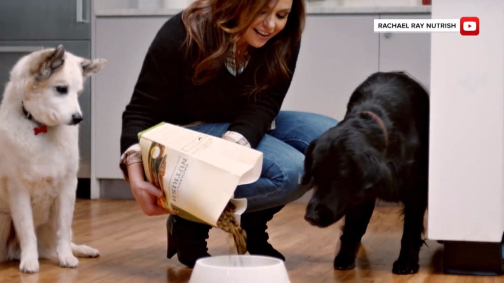 Rachel ray dog top