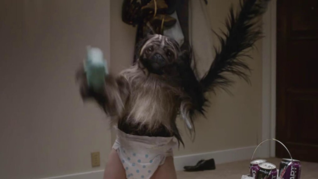 Little shop monkey dog