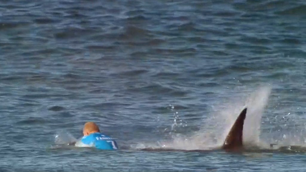 Watch: Girl, 11, frightened from surf by approaching shark