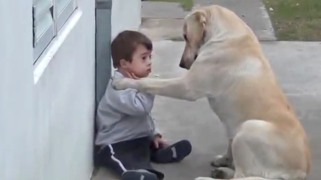Best dog for down store syndrome child