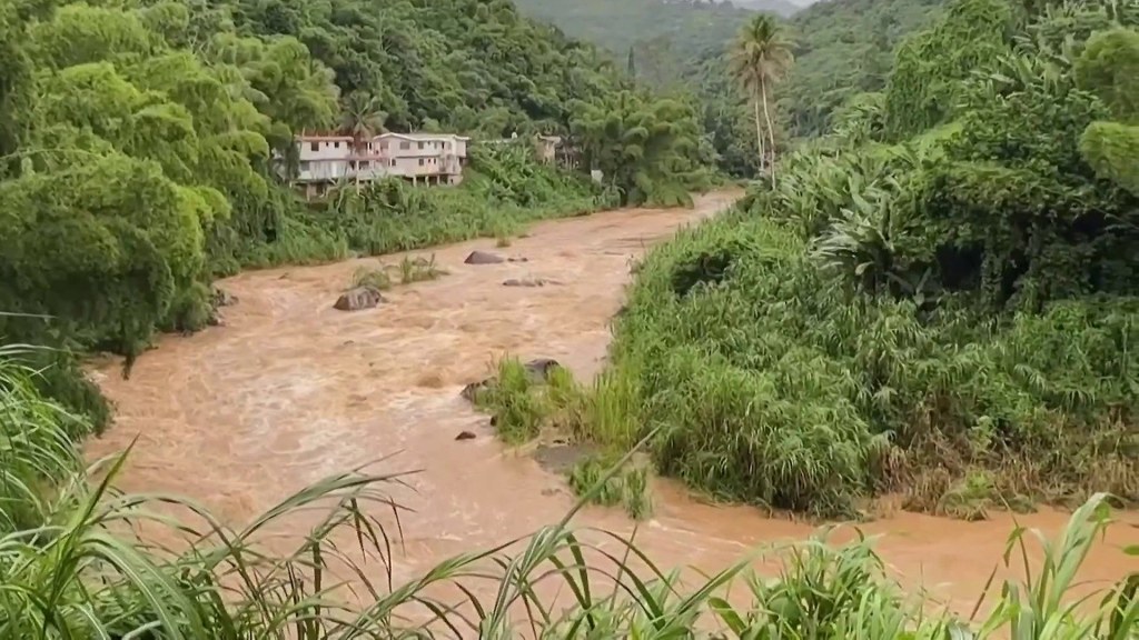 Hurricane Erin Restrengthens to Category 4: Where it's Headed