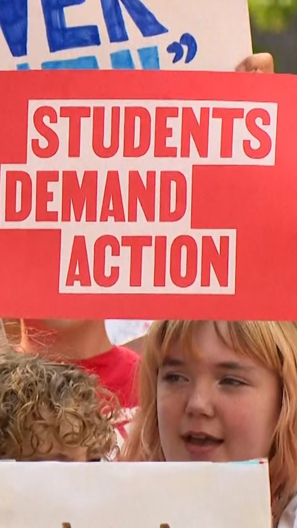 Indiana high school students protest gun violence