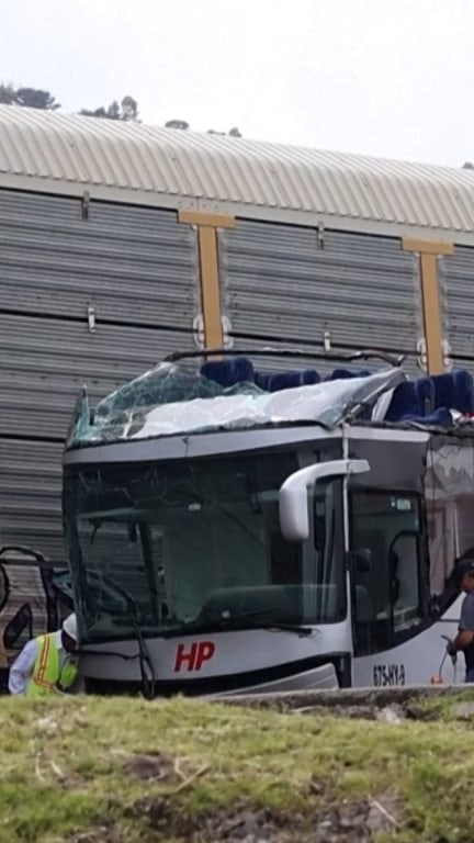 10 people killed after train hits bus in Mexico