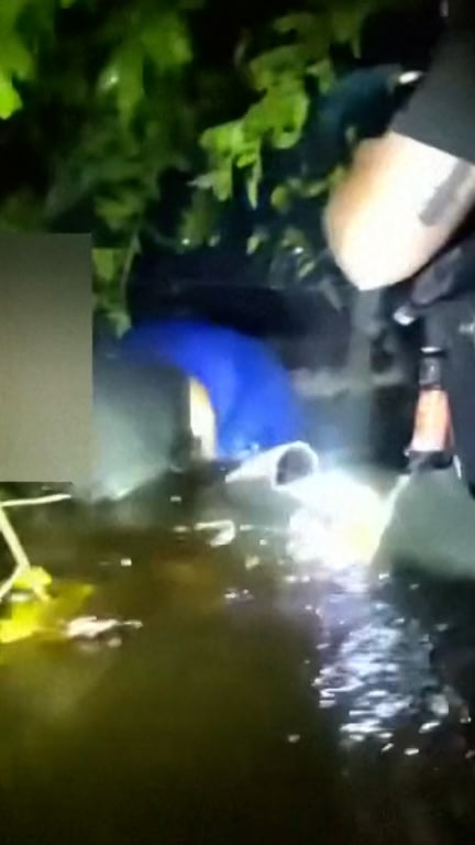Florida deputies rescue couple that crashed into swamp