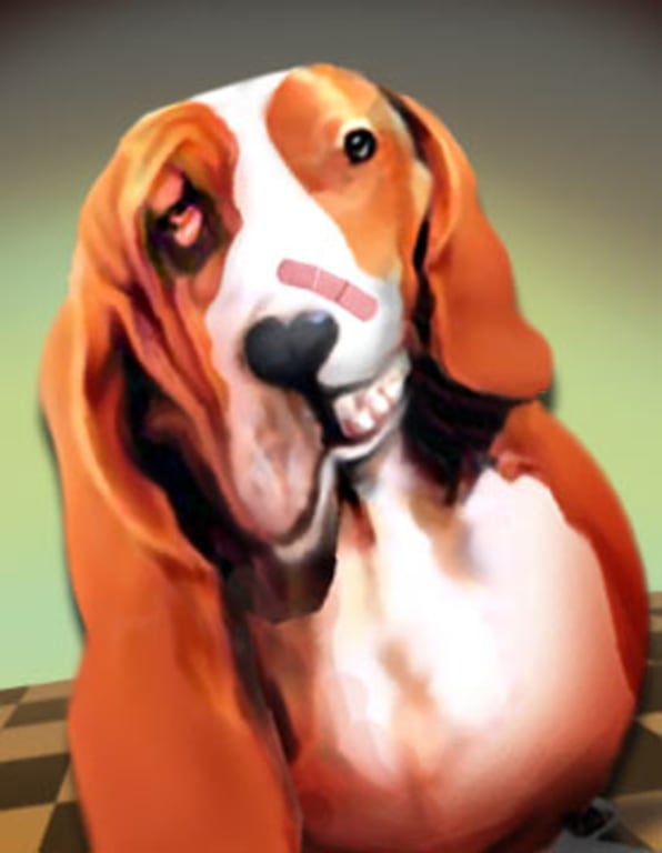 Saggy hotsell dog balls