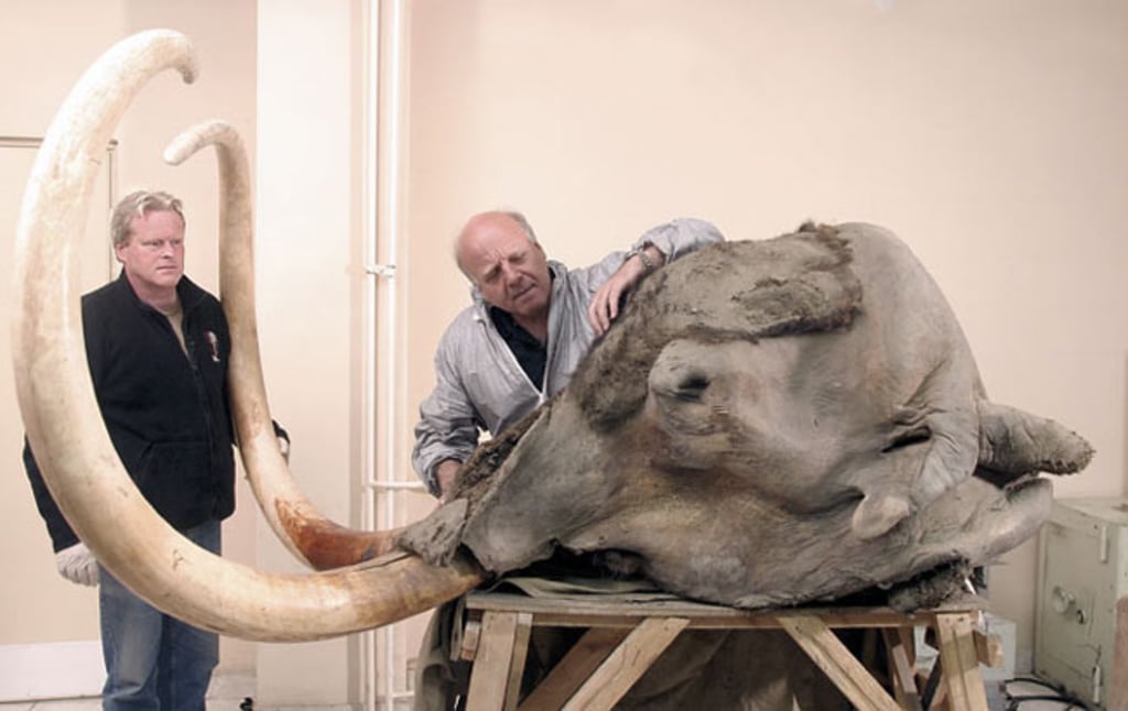 051219_mammoth_head_02.jpg