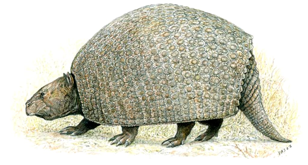 新到着 Ancient oversized armadillo-like species found 旅行かばん・小分けバッグ