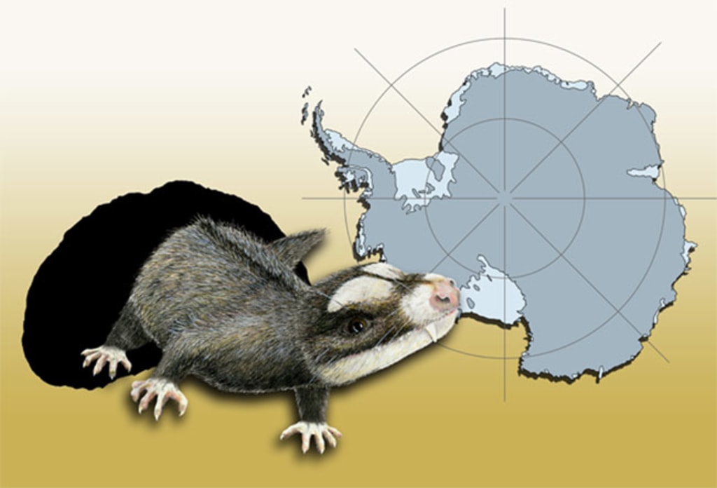 Cat-sized reptiles roamed ancient Antarctica Cat-sized reptiles roamed ancient Antarctica