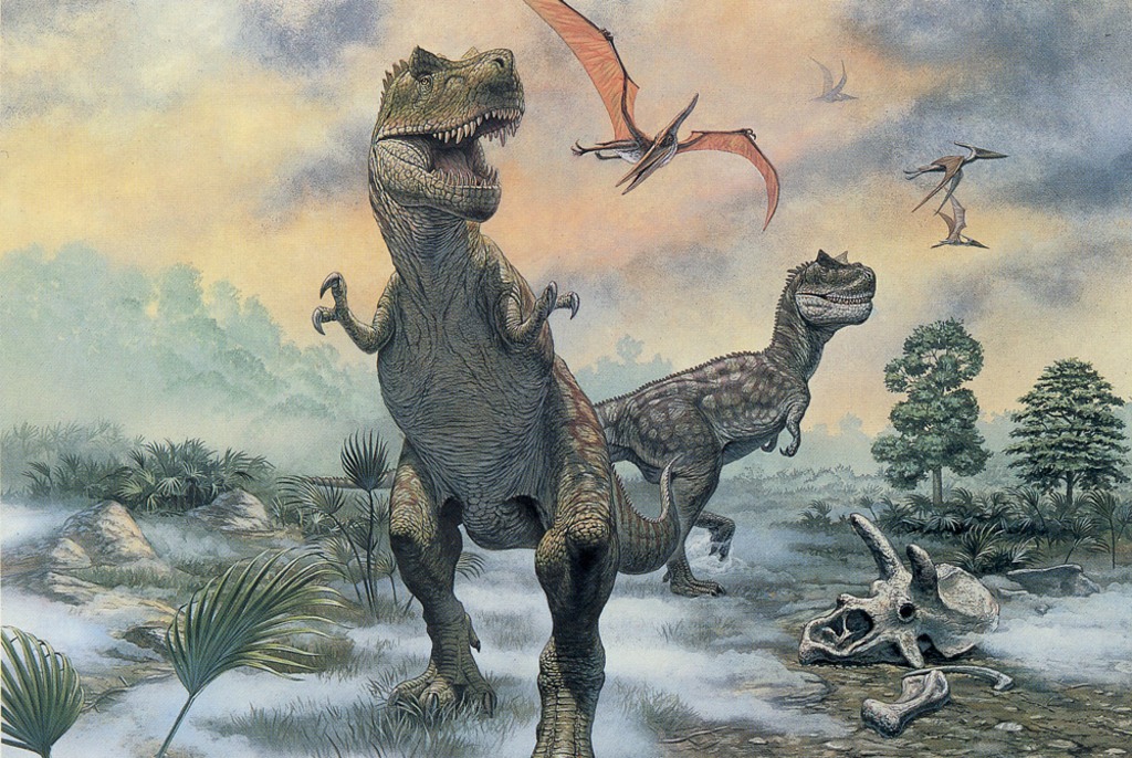 070606_trex_hmed_9a.jpg