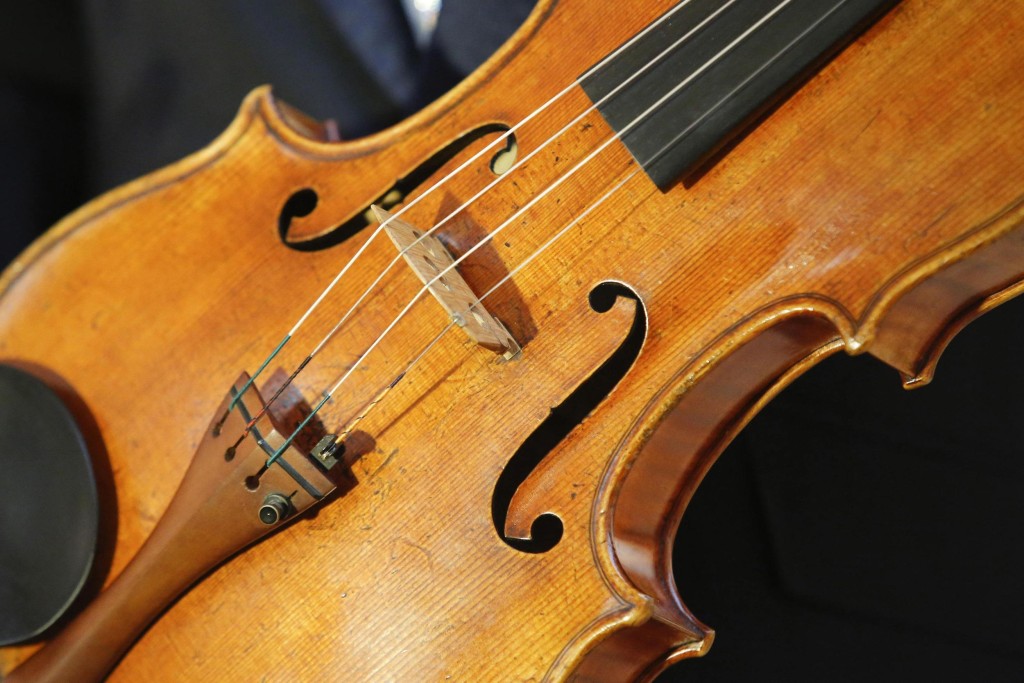 140328-viola_1155.jpg