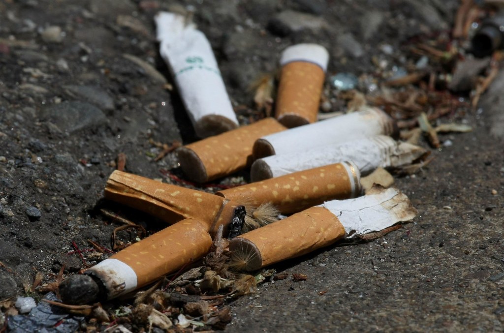 cigarettes after sex new album New Album cover... How's it? : r/CigarettesAfterSex