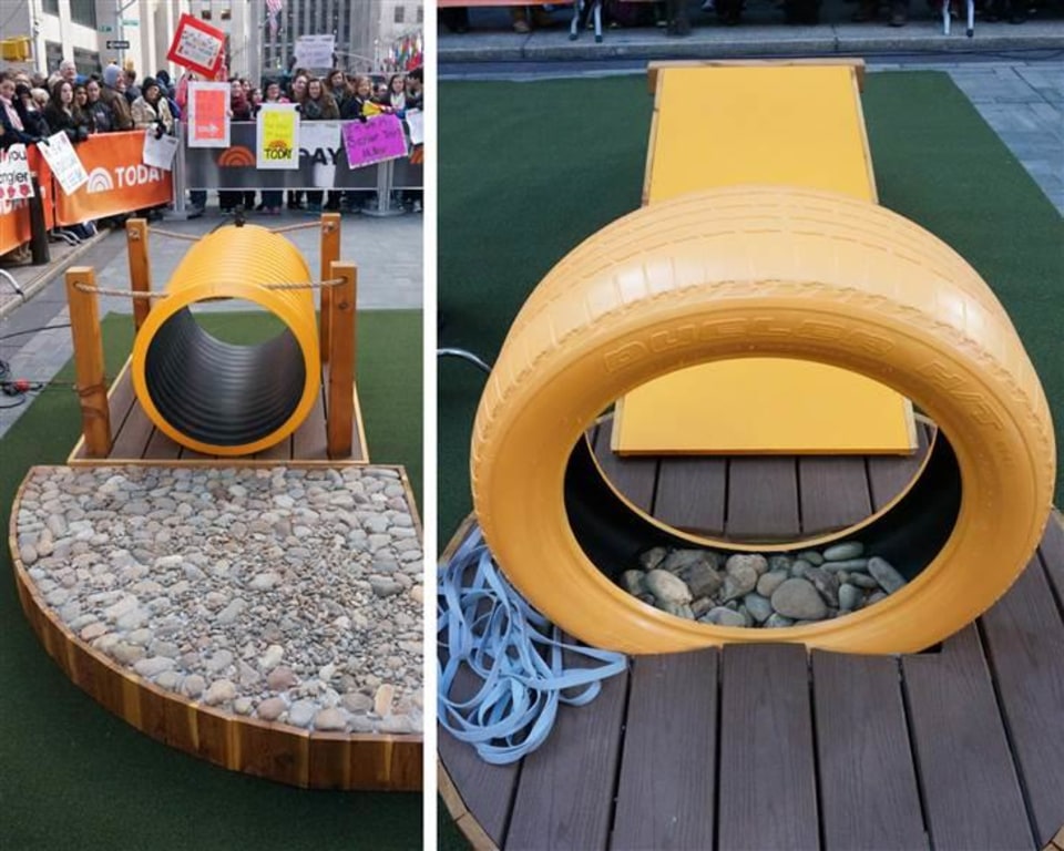 Dog play area top backyard