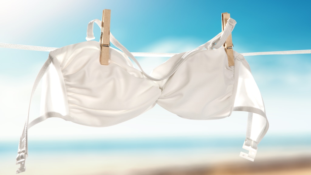 A Genius Trick for Washing Your Bra