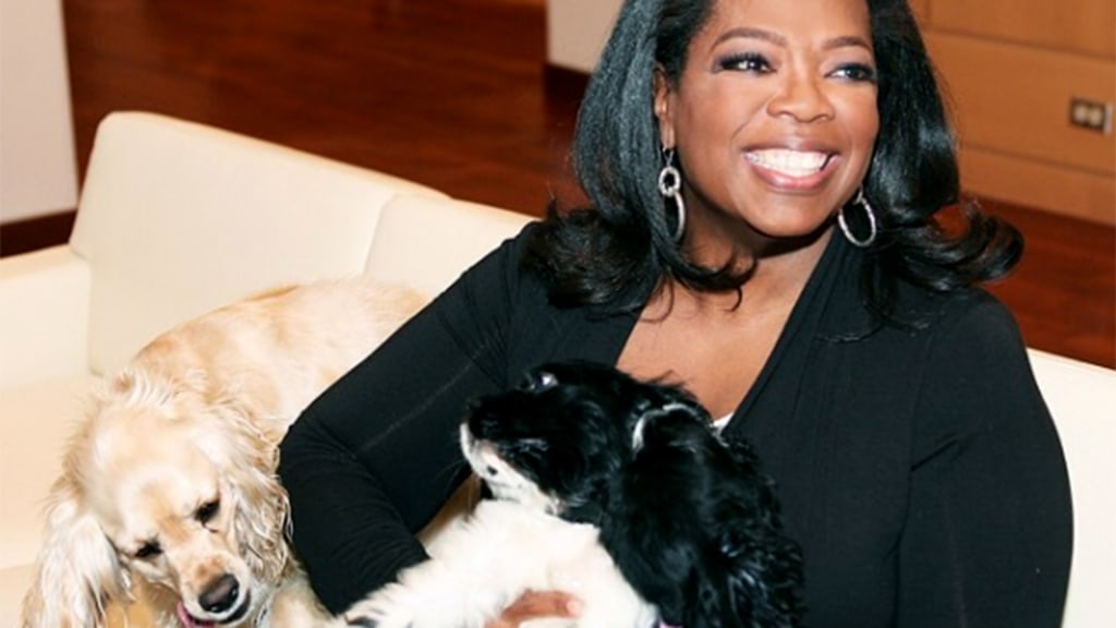 Oprah online cocker spaniel