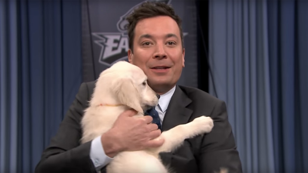 According to the Tonight Show puppies the winner of Super Bowl