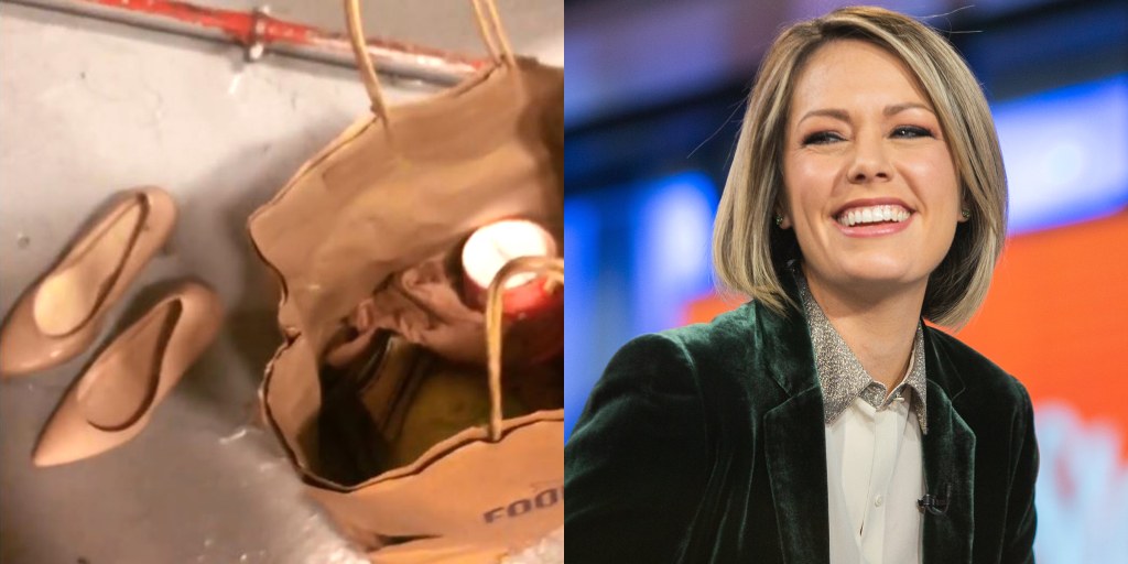 Dylan Dreyer went dumpster diving after her husband threw out her shoes