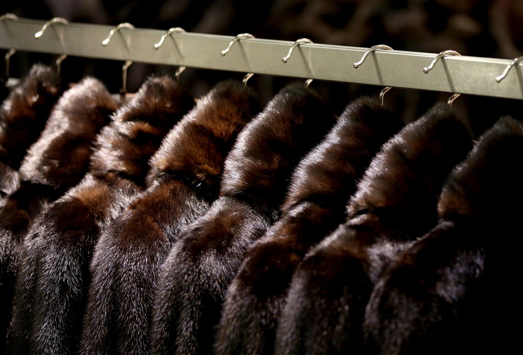 Macy's best sale fur salon