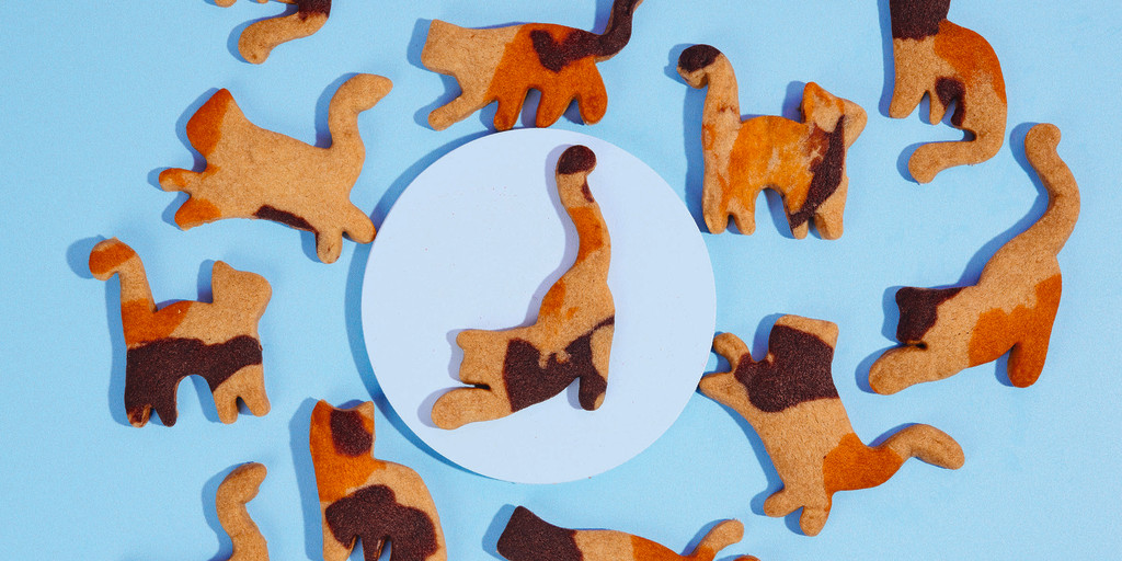 Cat cookies deals
