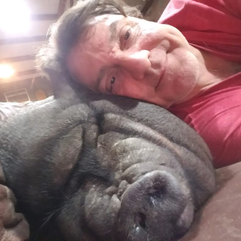 Man fights town to keep potbellied pig as his emotional support animal