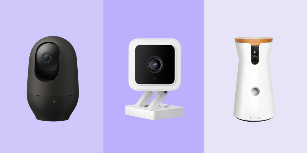 The 5 best pet cameras