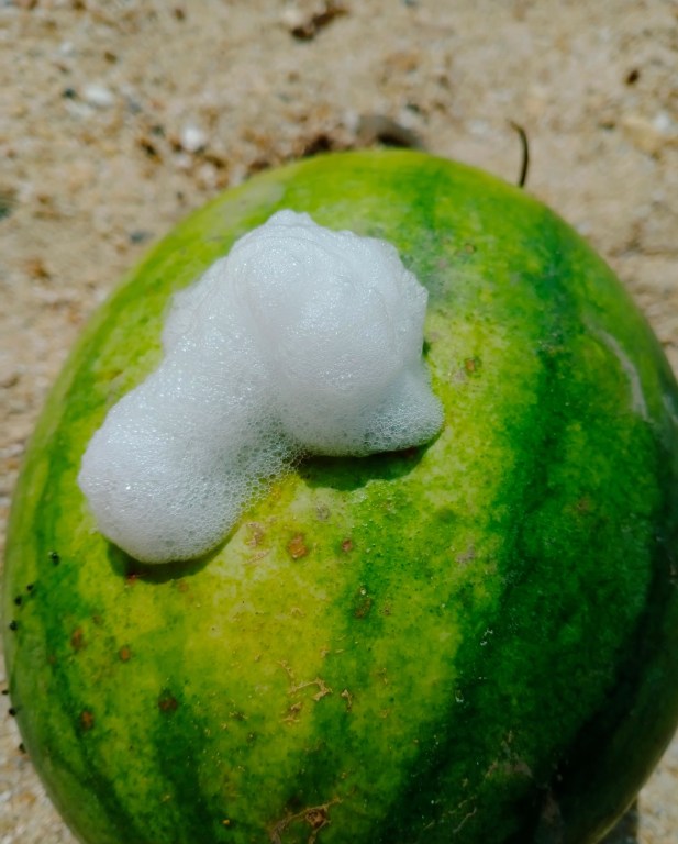 Exploding Planet Fruit