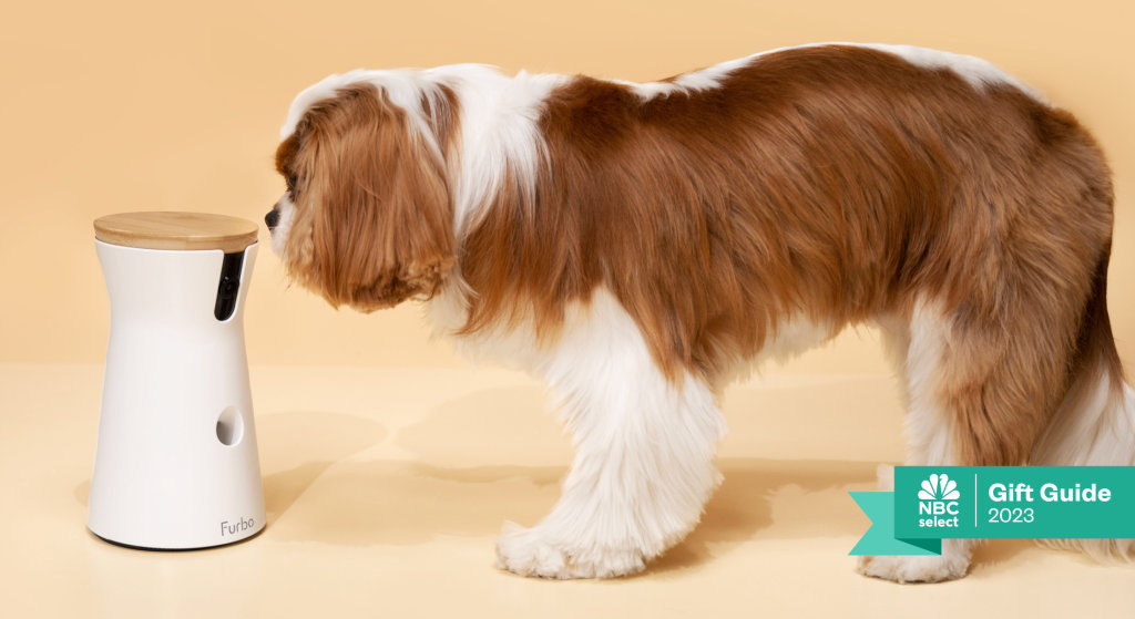 Best Gifts For Dogs 2023 - Forbes Vetted