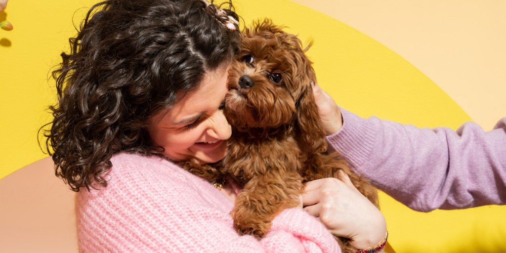 28 Dog Room Ideas You and Your Best Friend Will Love