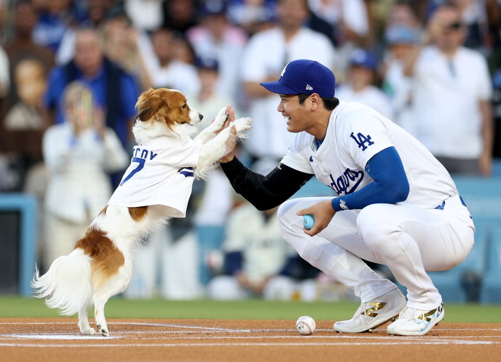 Shohei Ohtani's dog Decoy throws perfect first pitch at Dodgers game